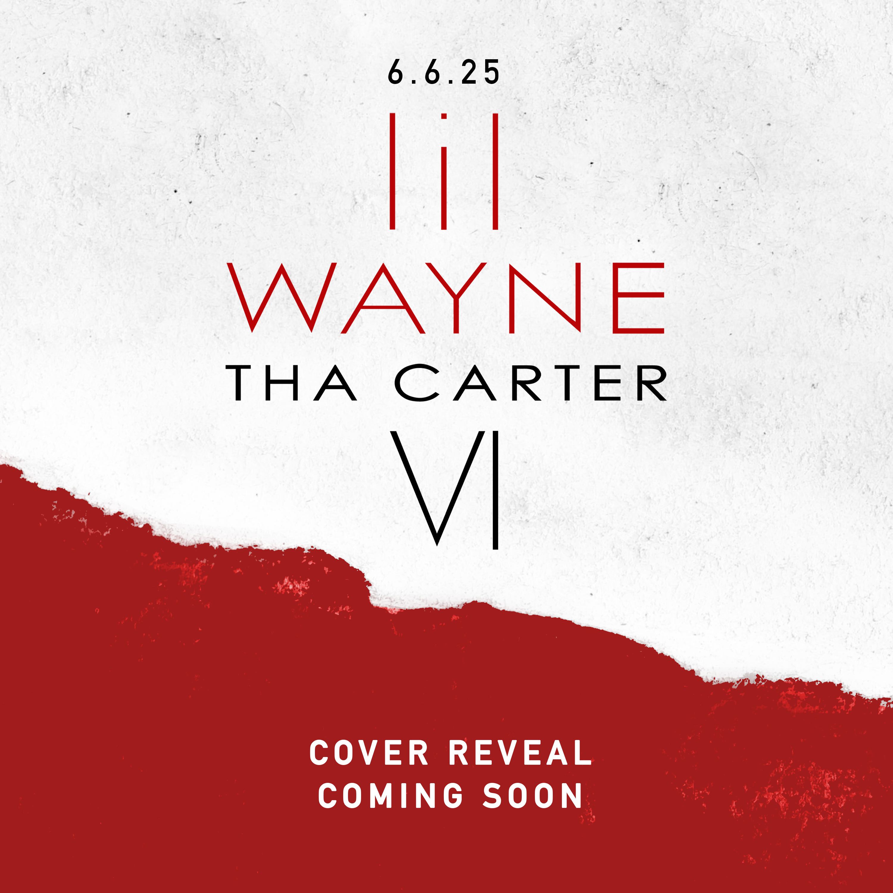 Lil Wayne Tha Carter VI LP 404348