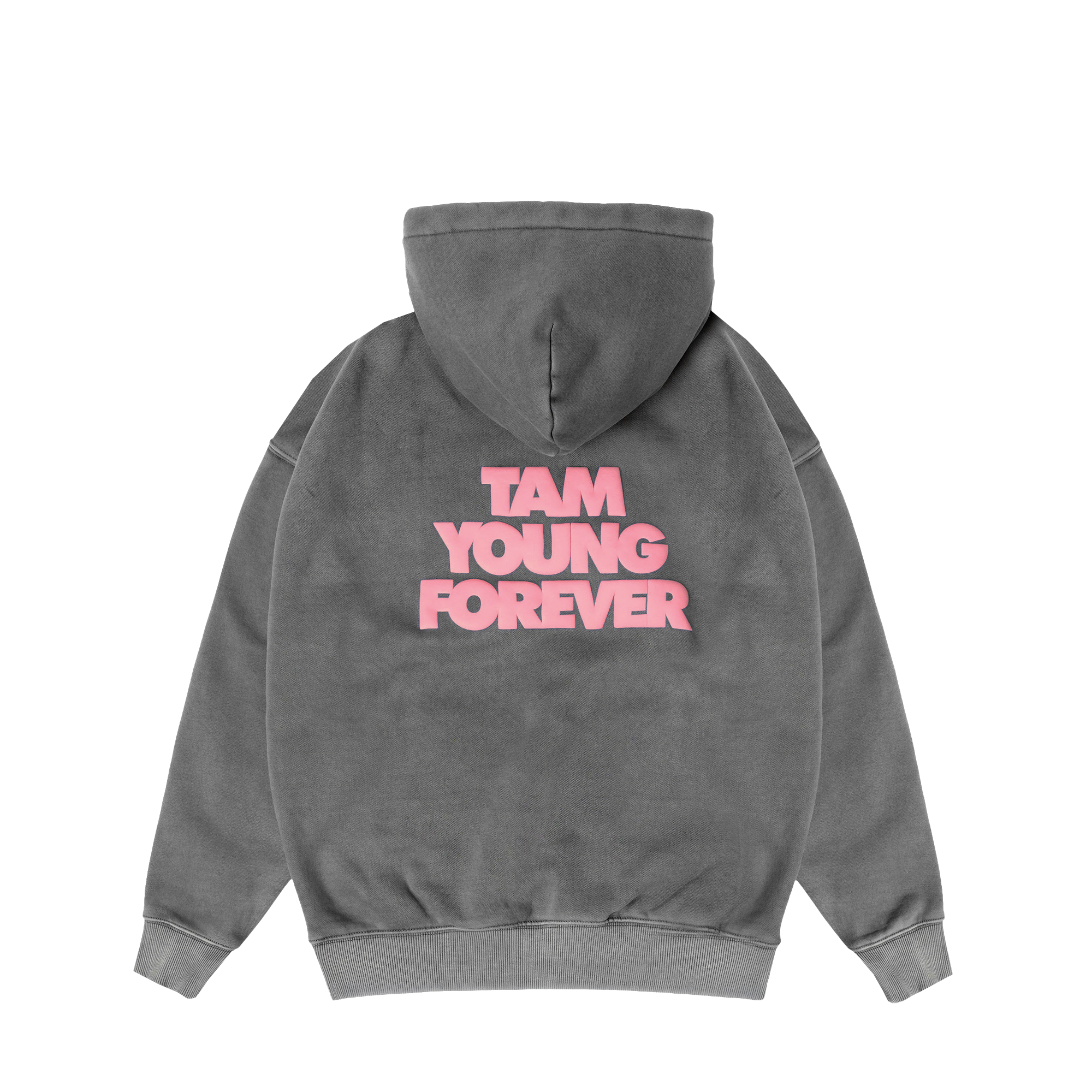 ZAH1DE Tam Young Forever  Hoodie 448612